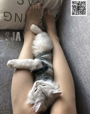叼嘿视频91_蓝光高清免费观看