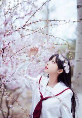 97干视频_BD完整版观看